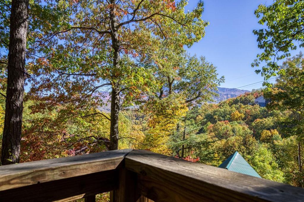 Four Bears Den, Hot Tub, 1089 Of Free Attraction Tickets For Each Paid Day, Dollywood And More 개틀린버그 외부 사진