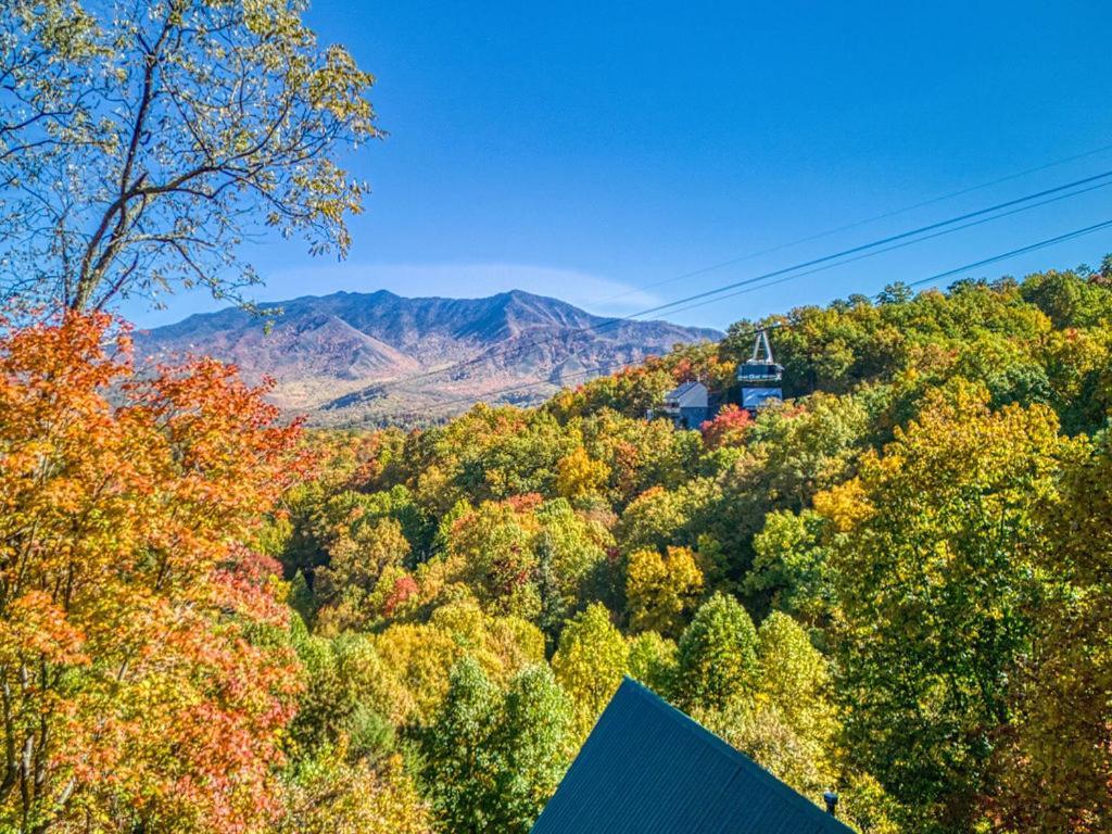 Four Bears Den, Hot Tub, 1089 Of Free Attraction Tickets For Each Paid Day, Dollywood And More 개틀린버그 외부 사진