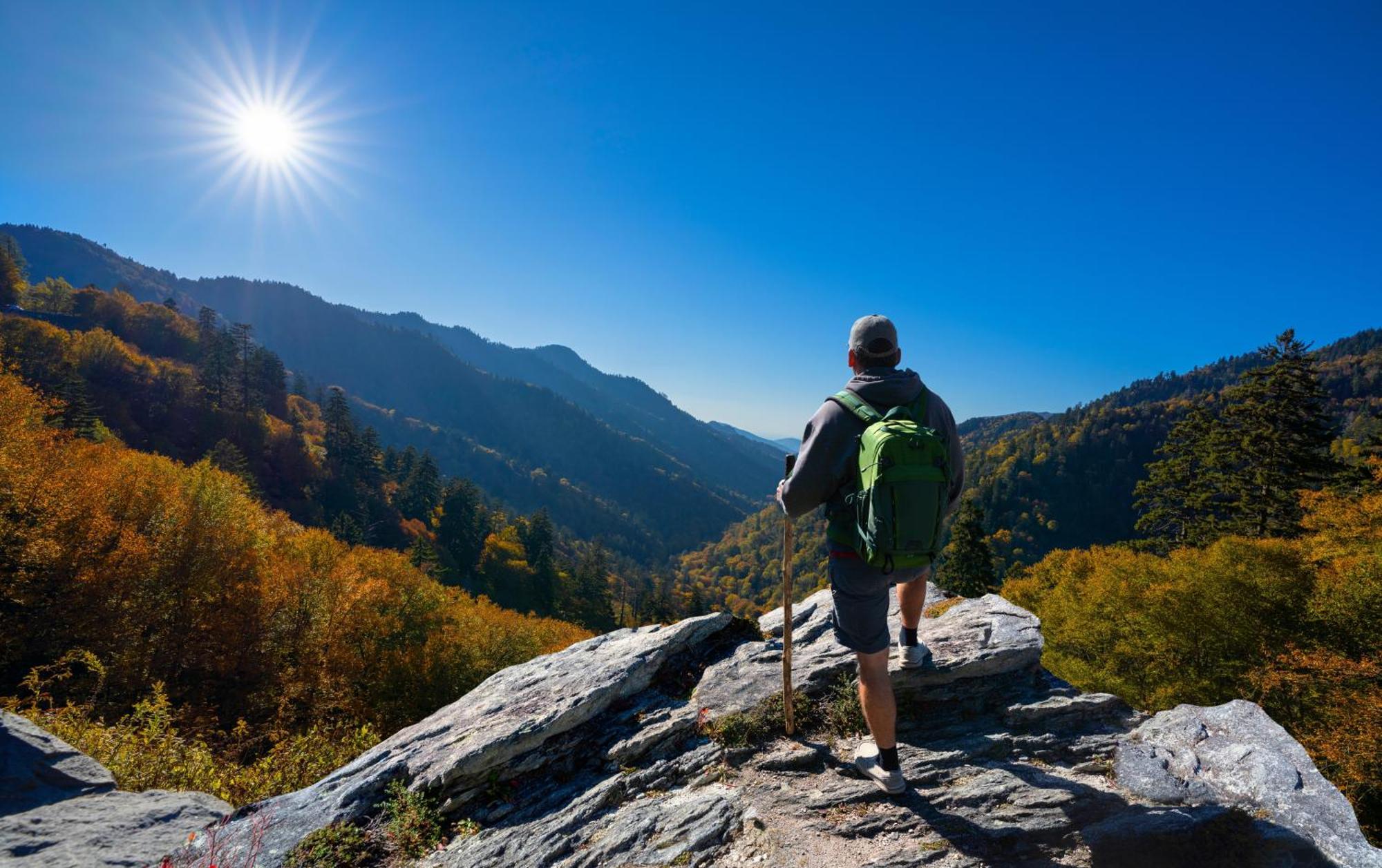 Four Bears Den, Hot Tub, 1089 Of Free Attraction Tickets For Each Paid Day, Dollywood And More 개틀린버그 외부 사진
