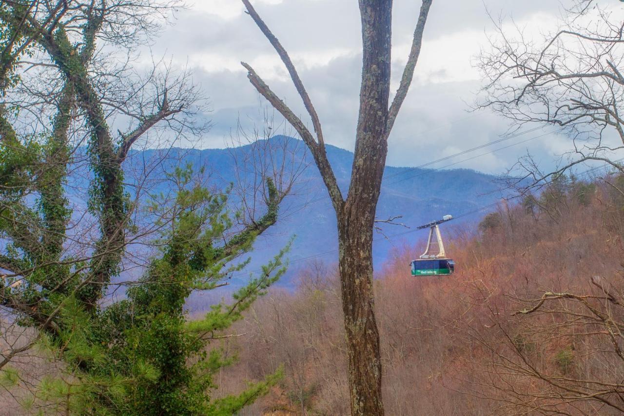 Four Bears Den, Hot Tub, 1089 Of Free Attraction Tickets For Each Paid Day, Dollywood And More 개틀린버그 외부 사진